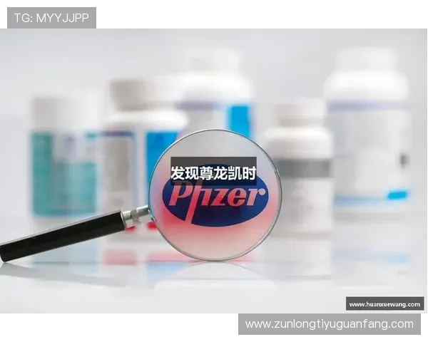 尊龙网站下载网页版：最新版本下载安装指南与操作步骤详解