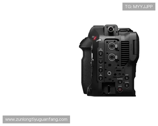 Z6尊龙旗舰厅登录线路用户评价，真实体验分享助你选择正确平台