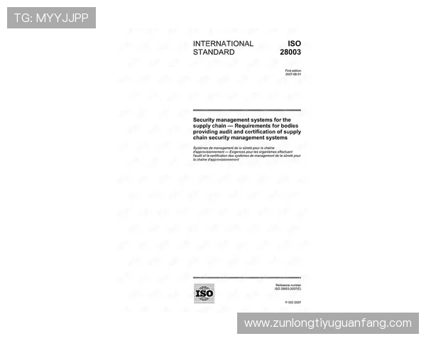 尊龙官方入口：官方入口的安全验证流程与防范措施