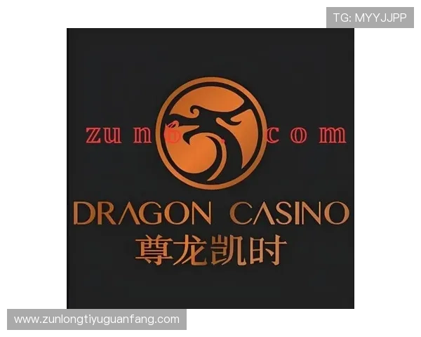 尊龙凯时客服专业团队全天候在线，确保您的游戏体验顺畅无阻