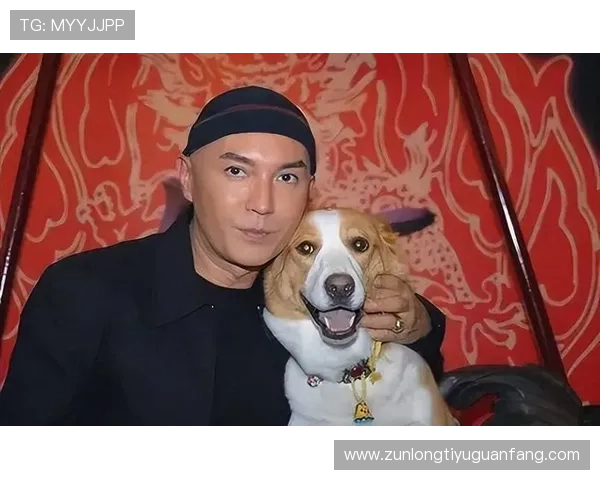 尊龙集团网址安全指南，确保用户访问尊龙集团官方网站的安全与稳定