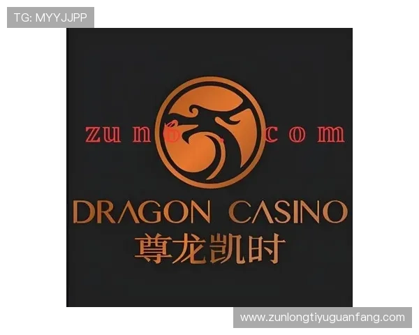 优质的客户服务支持，确保每位玩家在尊龙旗舰厅平台都能获得贴心的帮助与指导