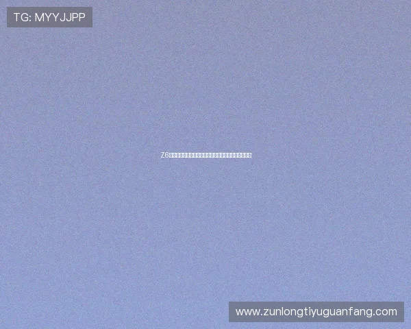 Z6尊龙国际首页注册流程指南新手玩家快速入门攻略推荐