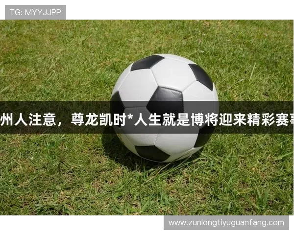 凯时尊龙人生就是博-活动参与指南，详细介绍如何快速加入并获得最大收益