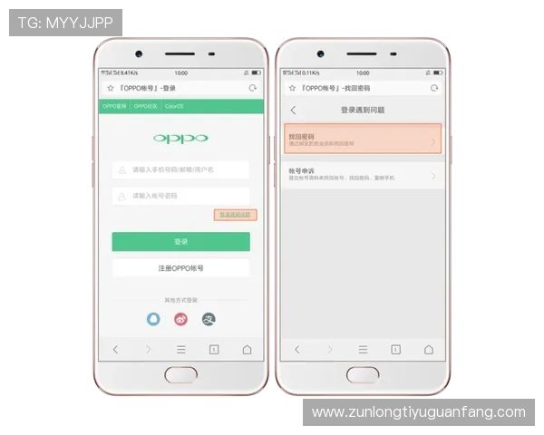 凯时在线登录忘记密码怎么办快速找回账号确保游戏不中断的实用方法